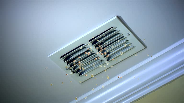 Best Affordable Duct Cleaning Services  in Churchill, MT