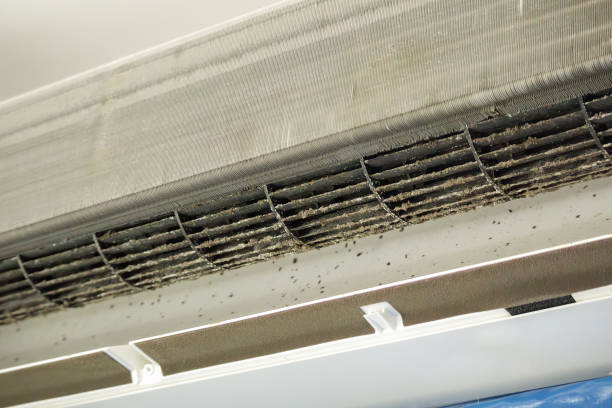 Best Best Air Duct Cleaning Company  in Churchill, MT